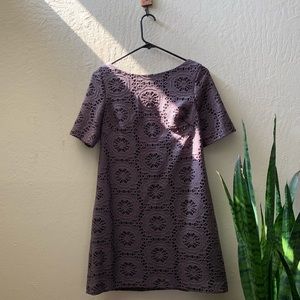 Adrianna Papell Lace Dress Petite Mini